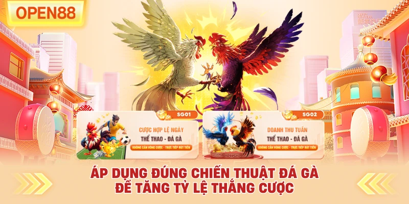 Áp dụng đúng chiến thuật đá gà để tăng tỷ lệ thắng cược