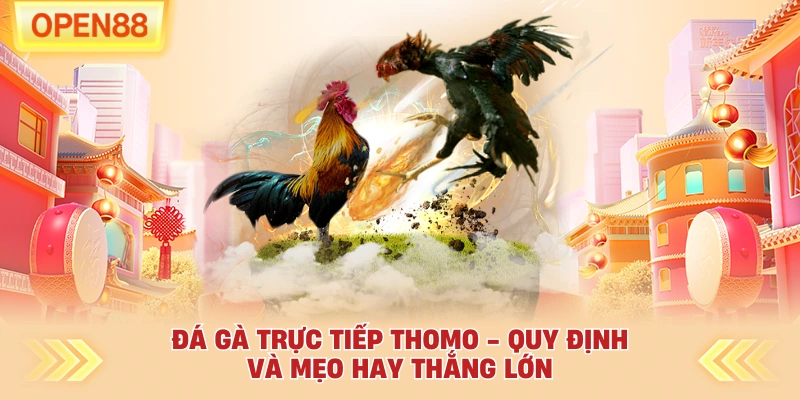 Đá Gà Trực Tiếp Thomo - Quy Định Và Mẹo Hay Thắng Lớn